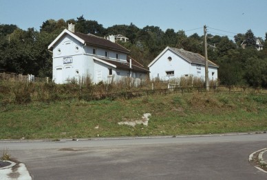 HONY  DIA 82-7917.jpg